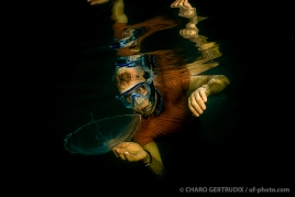 Charo Gertrudix - Ultima Frontera Photo